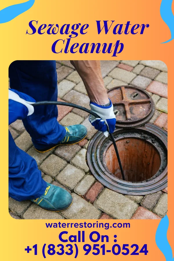 Sewage Water Cleanup in Cinnamon Lake, OH